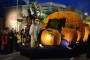 Thumbs/tn_Bloemencorso 2015 204.jpg